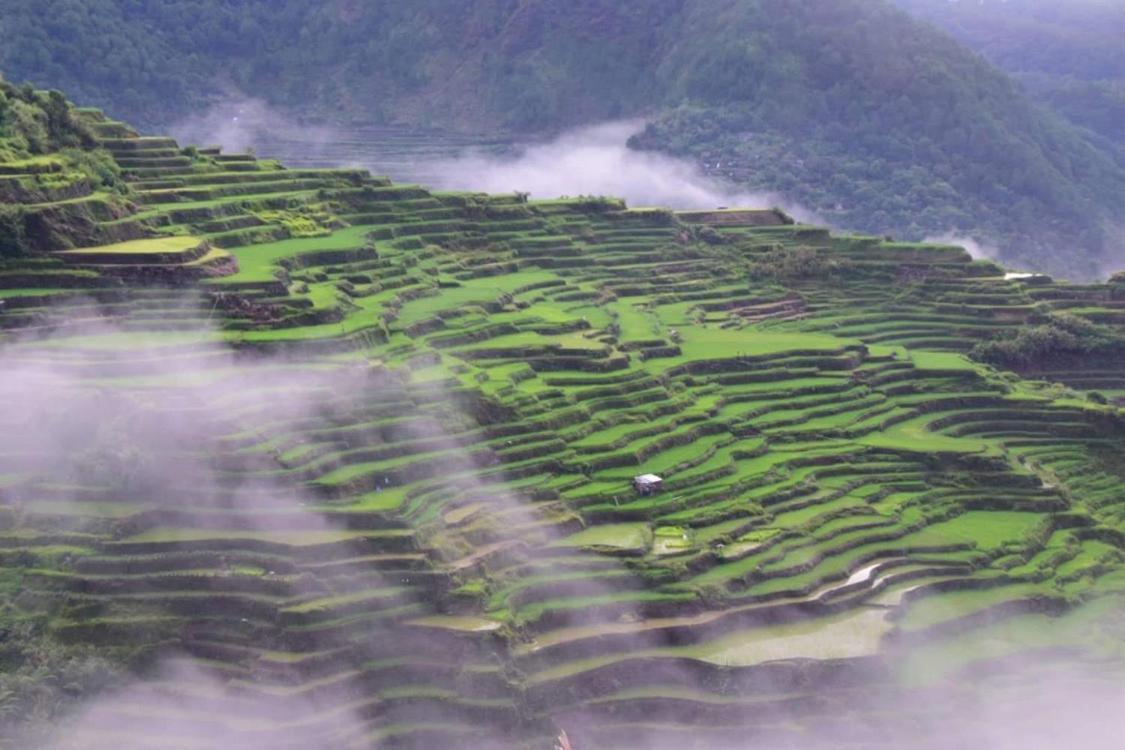 Vilma'S Homestay Bontoc  Екстериор снимка
