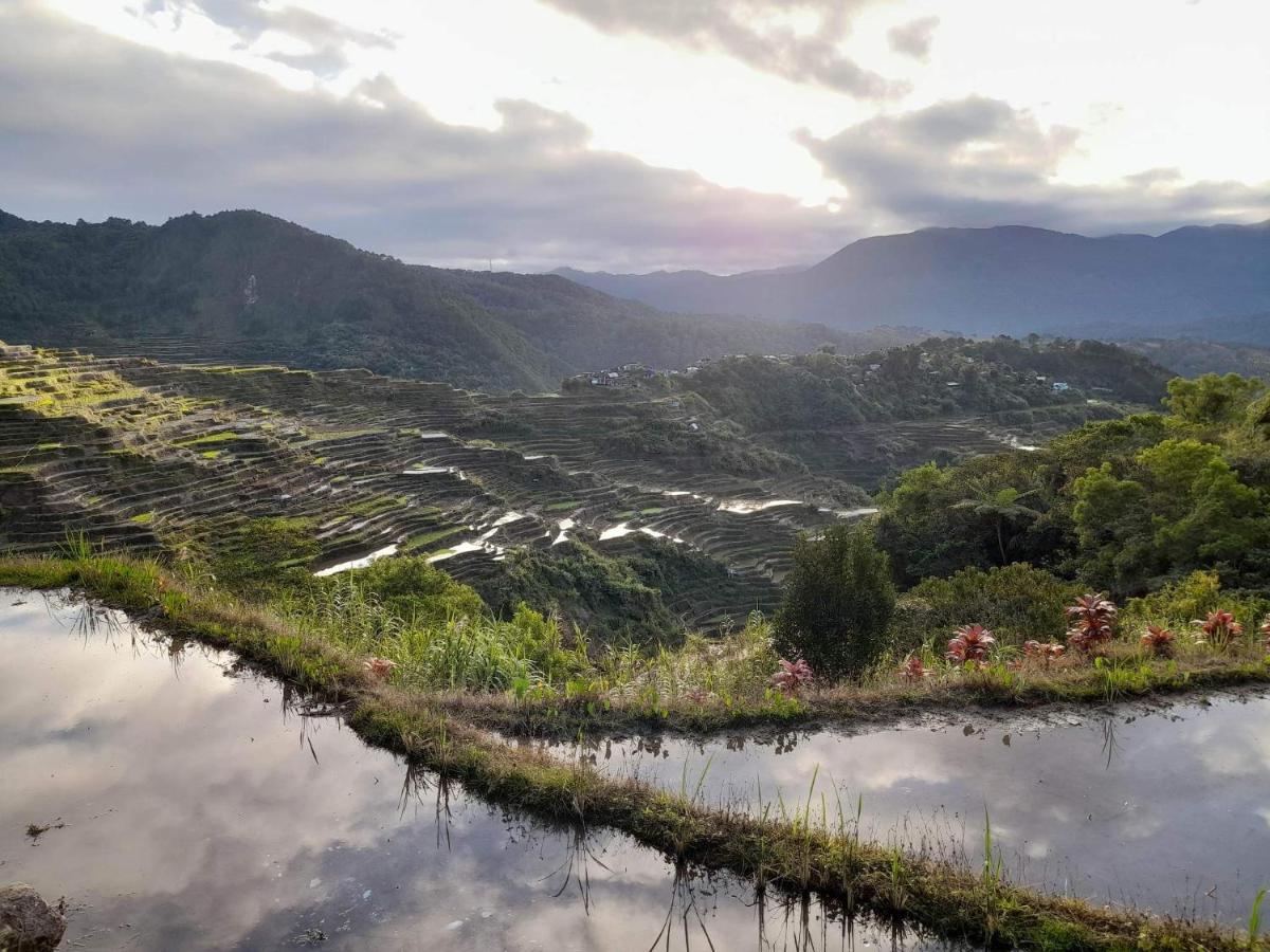 Vilma'S Homestay Bontoc  Екстериор снимка